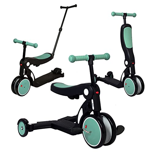 Looping SCOOTIZZ 5-en-1 | Draisienne Évolutive Bébé avec Barre de
